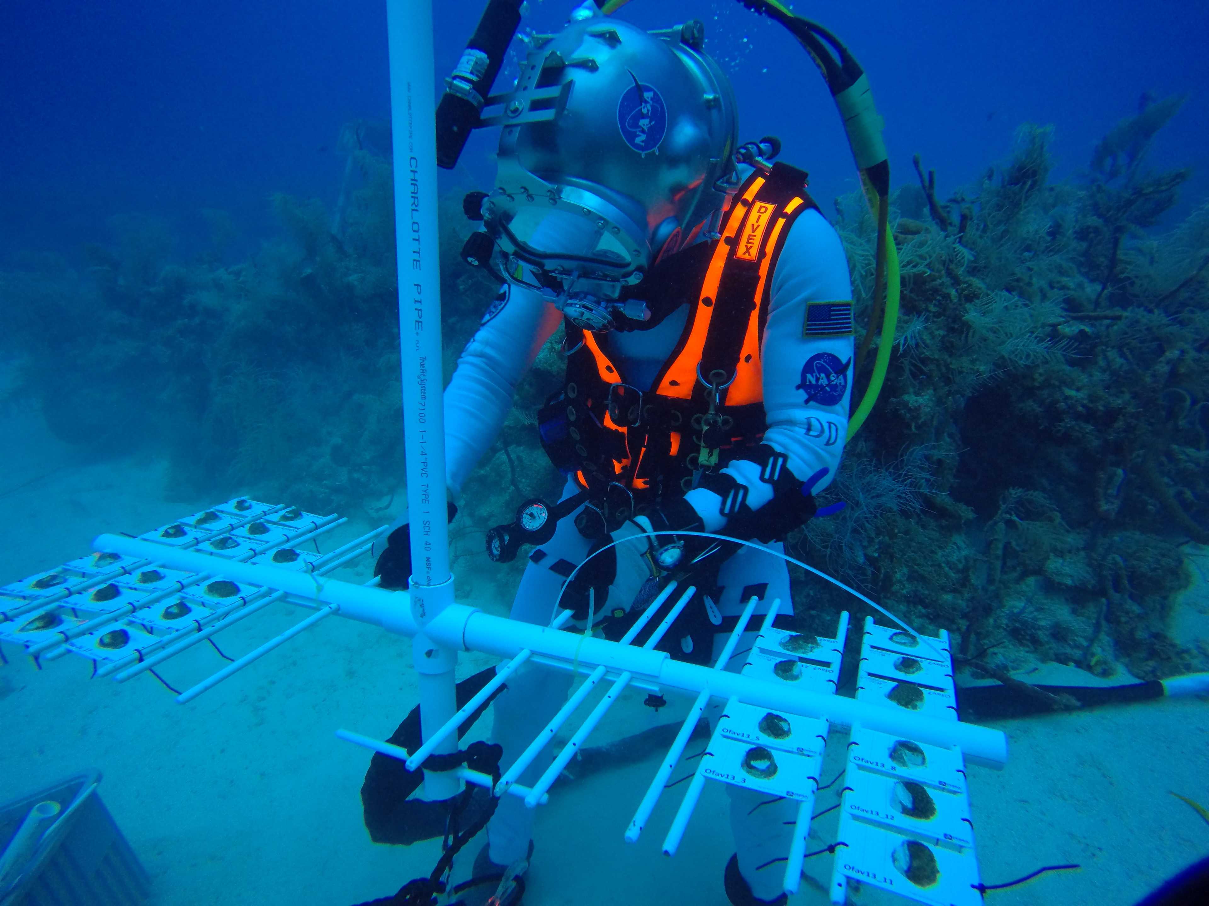 an aquanaut moving coral samples on a PVC pipe rig on a coral reef